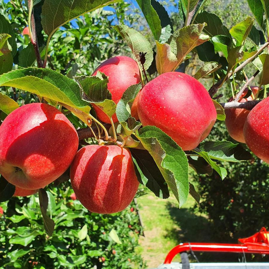 Mareinhof Vetzan-Apples,Apartment&More Сіландро Екстер'єр фото